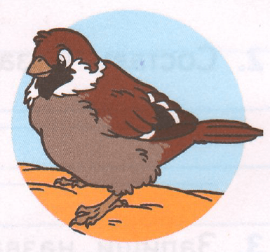 Задание рисунок 1