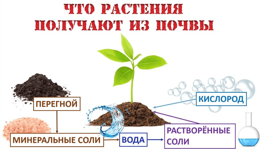 Решение рисунок 1