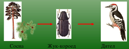 Решение рисунок 1