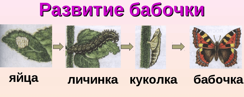 Решение рисунок 1