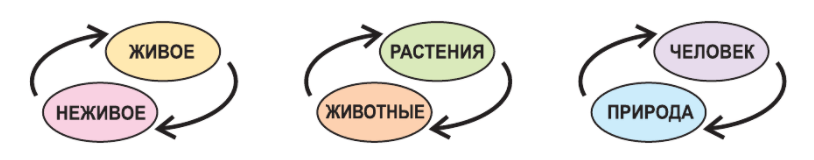 Задание рисунок 1