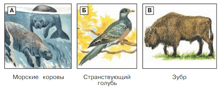 Задание рисунок 1