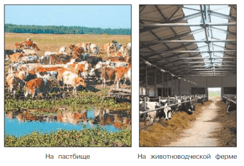 Задание рисунок 2