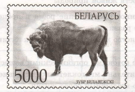 Задание рисунок 1