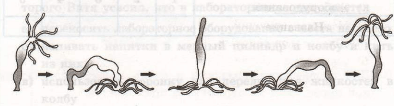 Задание рисунок 1