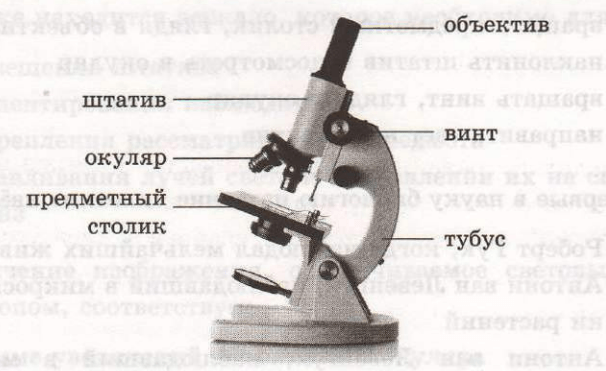 Задание рисунок 1