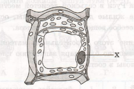 Задание рисунок 1