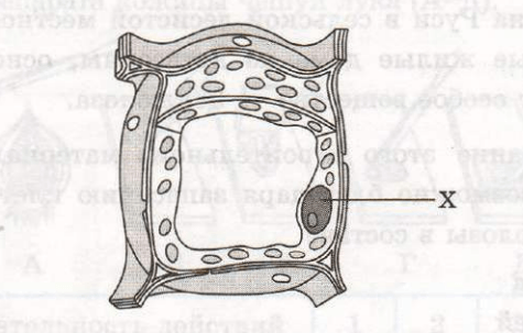 Задание рисунок 1