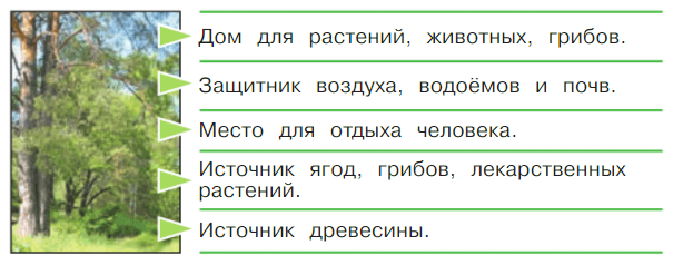 Задание рисунок 1