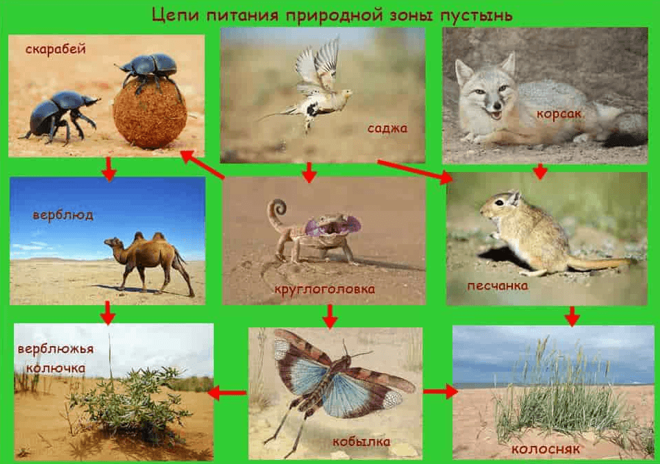 Решение рисунок 2