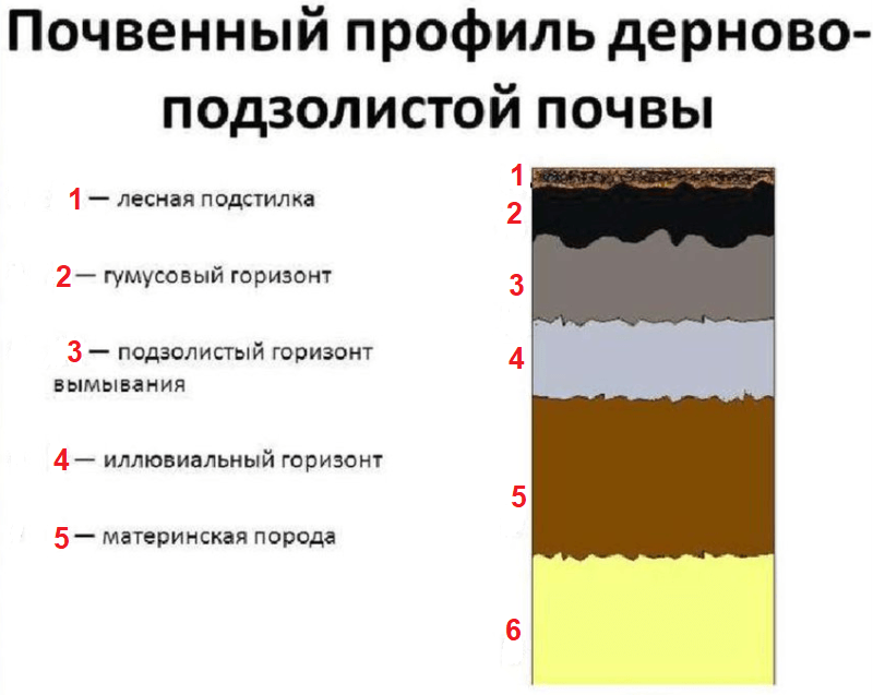 Решение рисунок 1