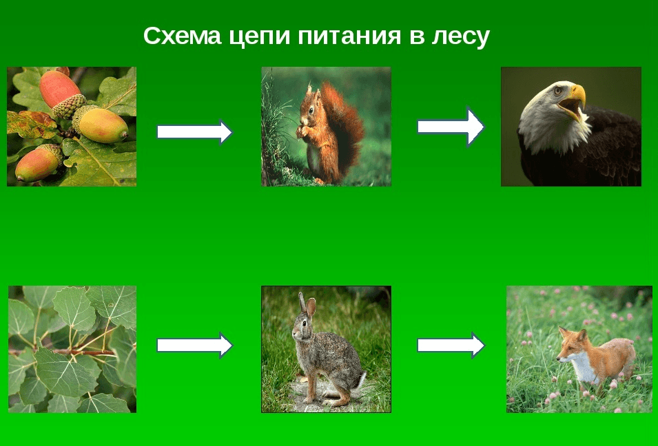 Решение рисунок 1