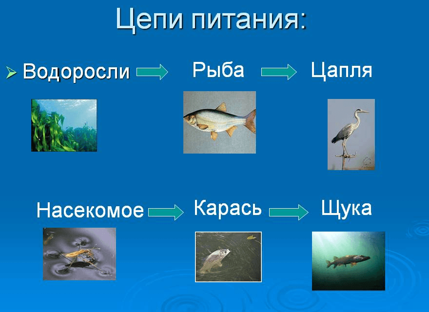 Решение рисунок 1