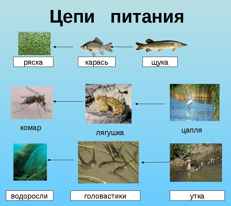 Решение рисунок 2
