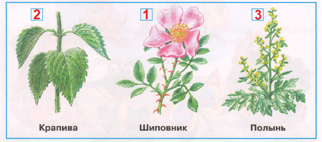 Решение рисунок 1