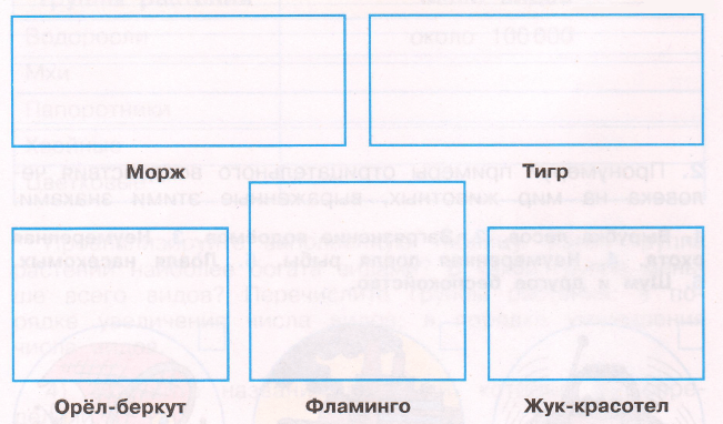 Задание рисунок 1