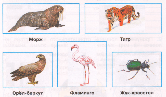 Решение рисунок 1