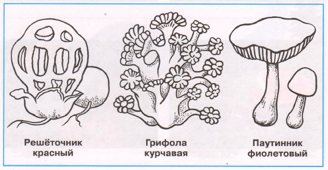 Задание рисунок 1