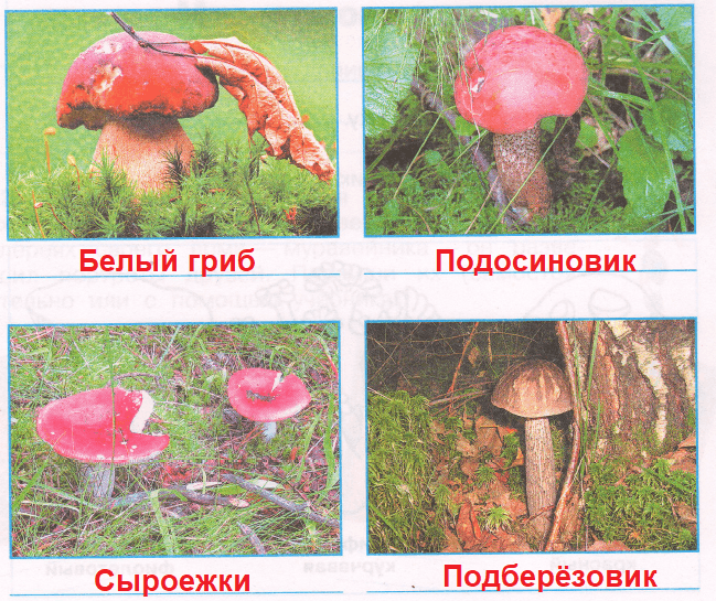 Решение рисунок 1