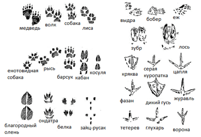Решение рисунок 1