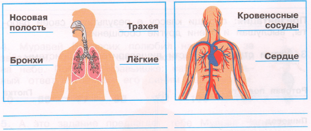 Задание рисунок 1
