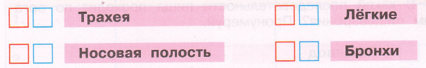 Задание рисунок 1
