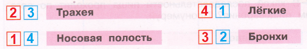 Решение рисунок 1