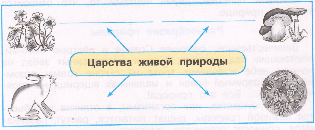 Задание рисунок 1