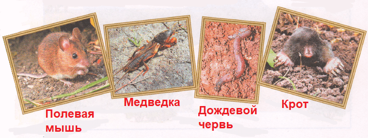 Решение рисунок 1