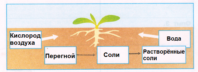 Решение рисунок 1
