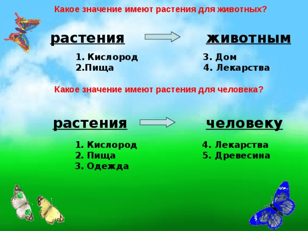 Решение рисунок 1