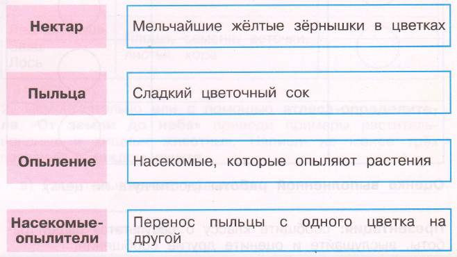 Задание рисунок 1
