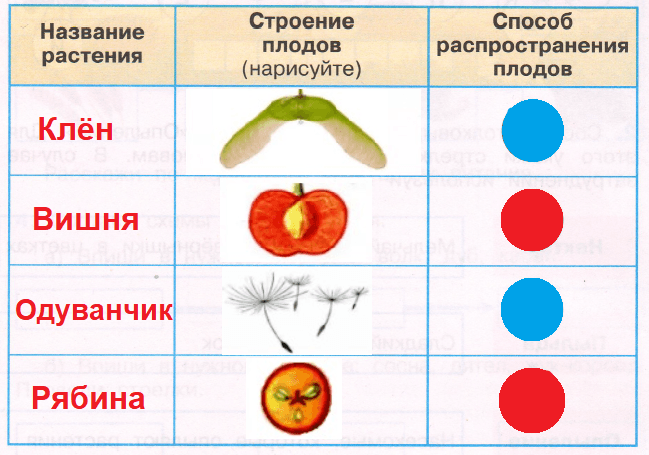 Решение рисунок 1