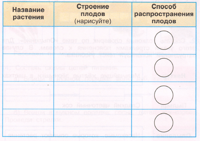 Задание рисунок 1