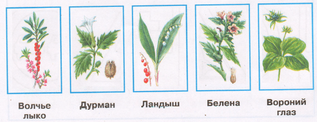 Решение рисунок 1