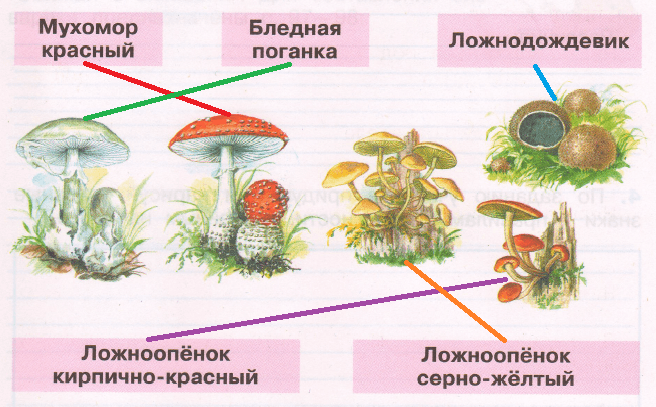 Решение рисунок 2