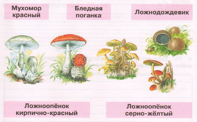 Задание рисунок 2