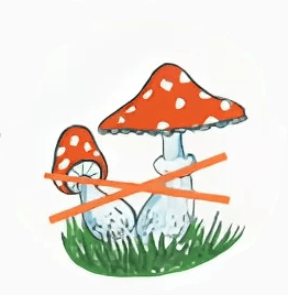 Решение рисунок 1