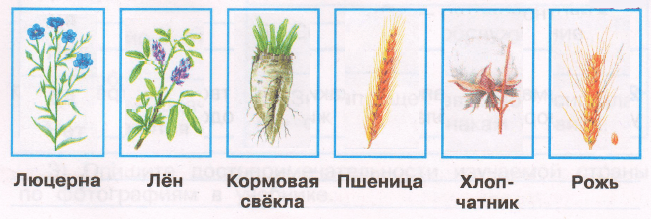 Решение рисунок 1