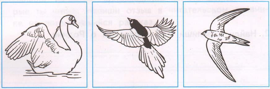 Задание рисунок 1