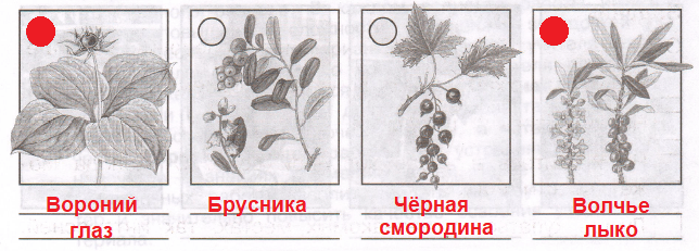 Решение рисунок 1