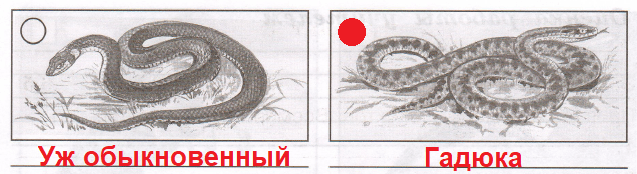 Решение рисунок 1