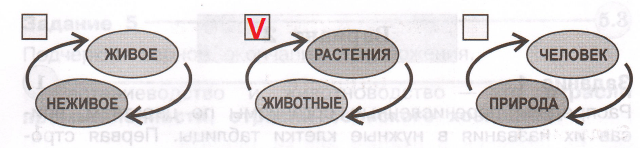 Решение рисунок 1