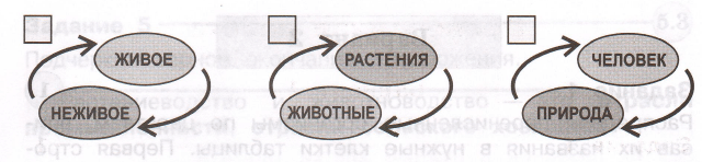 Задание рисунок 2