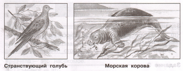 Задание рисунок 1