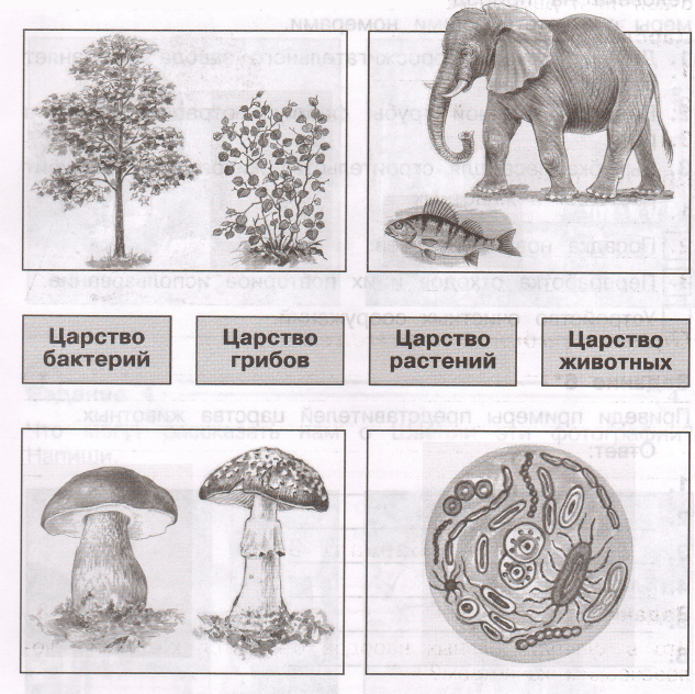 Задание рисунок 1
