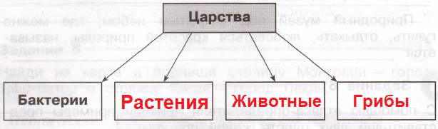 Решение рисунок 1