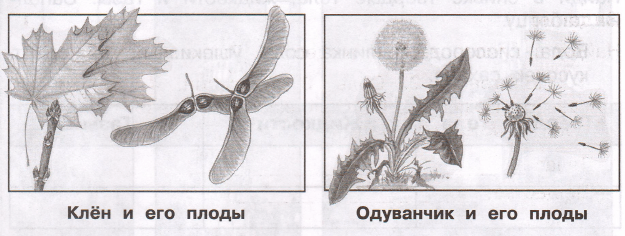 Задание рисунок 1