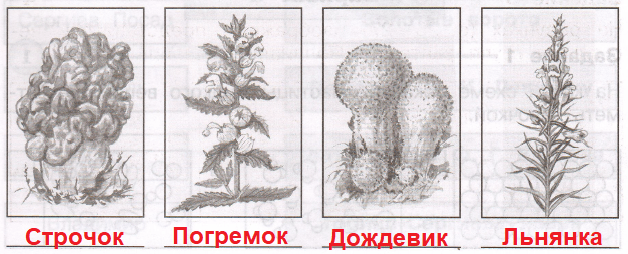 Решение рисунок 1
