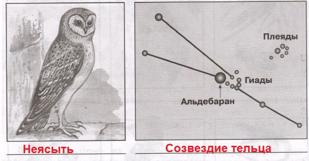 Решение рисунок 1